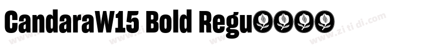 CandaraW15 Bold Regu字体转换
